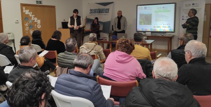 Community energy: A real option to empower local economies